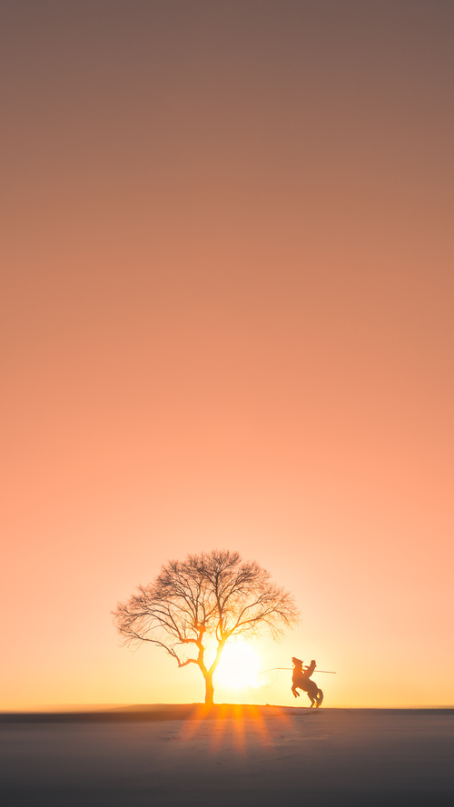 中国篮球战术体系融合国际元素升级，中国篮球如何发展